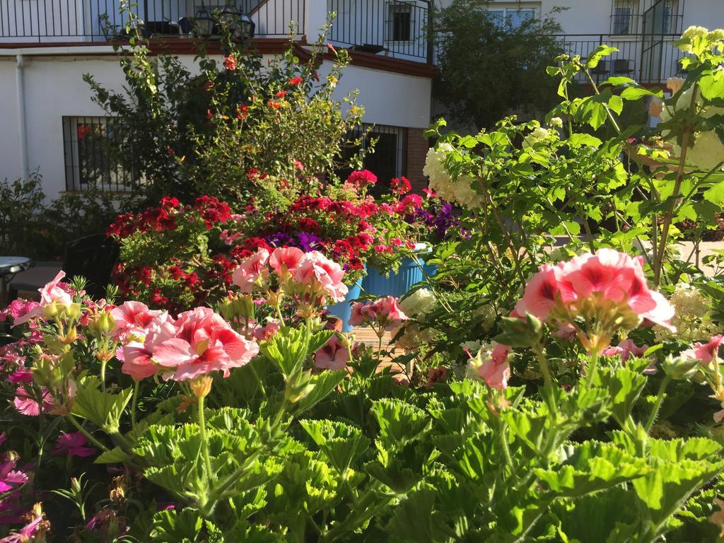 Hotel Carmen Teresa Torremolinos Bagian luar foto