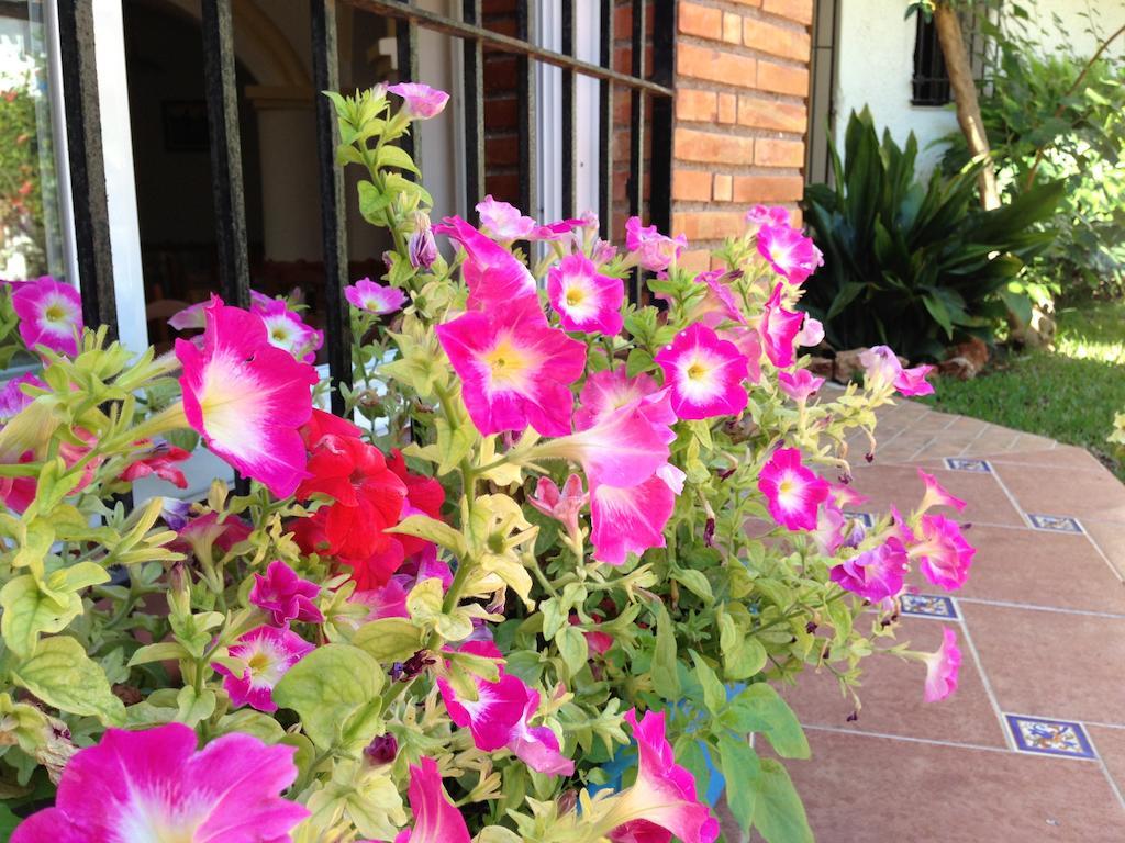 Hotel Carmen Teresa Torremolinos Bagian luar foto