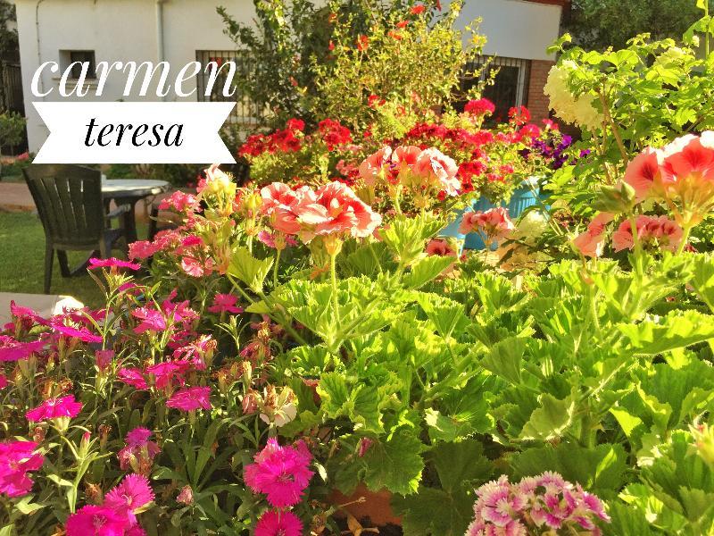 Hotel Carmen Teresa Torremolinos Bagian luar foto
