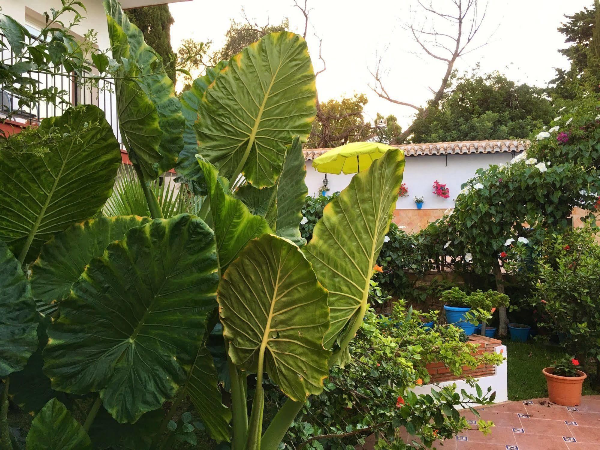 Hotel Carmen Teresa Torremolinos Bagian luar foto